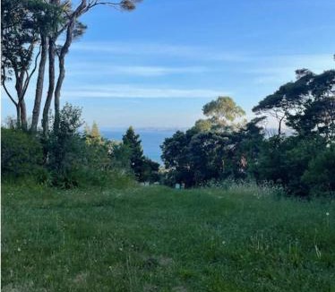 Raglan House | Manu Bay Bee Retreat - Walk to WSL