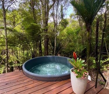 Wainui Ski Chalet | Tui Bush Chalet and Hot tub