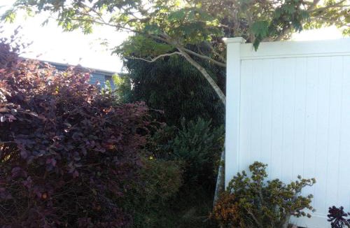 Matarangi Villa | Cozy Matarangi Cabin Garden and Lake views