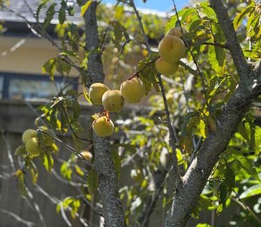 Martinborough House | Lockwood on Cologne