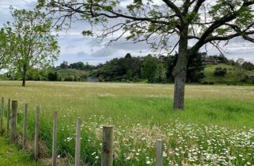 Tauriko House | Cosy Tauranga River Cottage with Rural Outlook