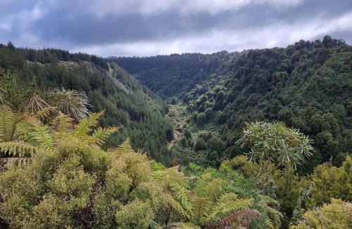 Rotorua House | Hiwi Farm Homestay - Peaceful Farm Retreat near Rotorua