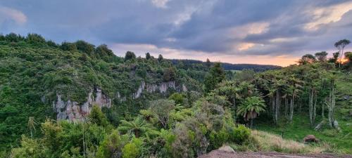 Rotorua House | Hiwi Farm Homestay - Peaceful Farm Retreat near Rotorua