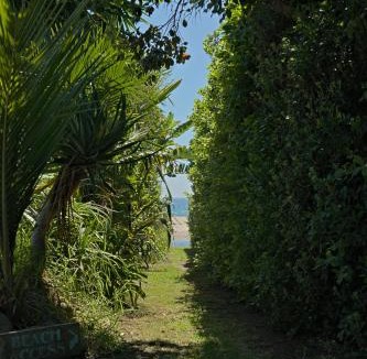 Hot Water Beach House | Hot Water Beach Bure Wera