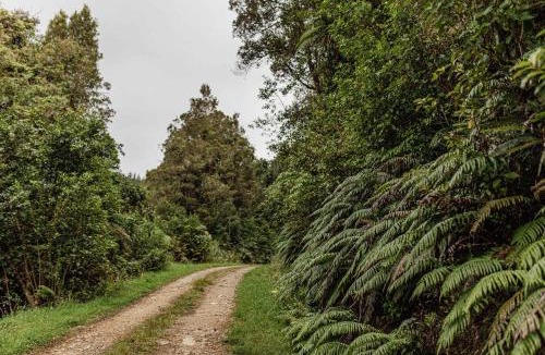 Shannon House | Te Paki Dam View by Tiny Away