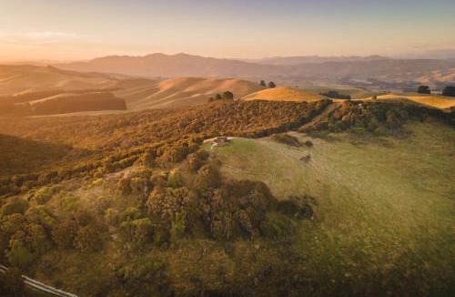 Hurunui District Villa | Atatū PurePod
