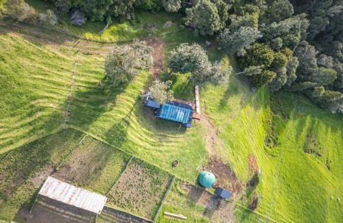 Helensville House | Rewarewa PurePod