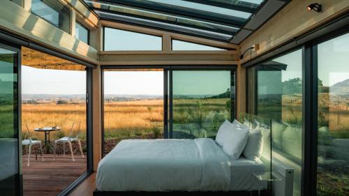 Otorohanga Villa | Matū PurePod - Waitomo