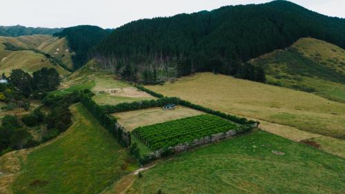 Te Horo Villa | Kokomea PurePod