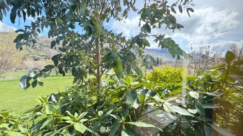 Wanaka Cabin | Alpine View Lodge