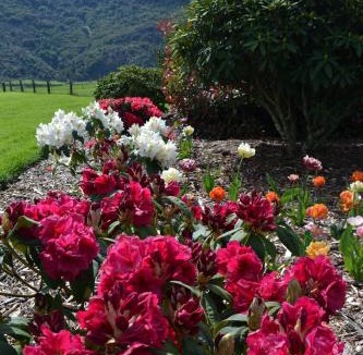 Makarora Apartment | Hawkshead Boutique Studio & Gardens
