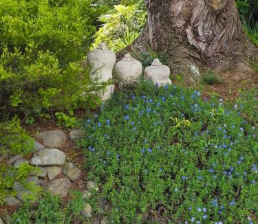 Trentham Bed & Breakfast | Riverstone Retreat Upper Hutt