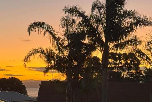 Thames Hotel | Comfort Inn Sunset