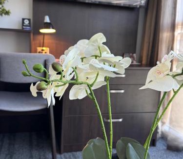 Henderson Apartment | Quest Henderson, Auckland Apartment Hotel