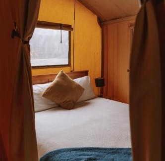 Raglan Other | Raglan Rural Retreats - Kauri Tent