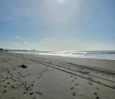 Waitara House | Surf Shack on Broadway