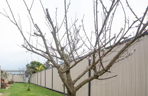 Gisborne Hotel | AhiKaa Gisborne Motel
