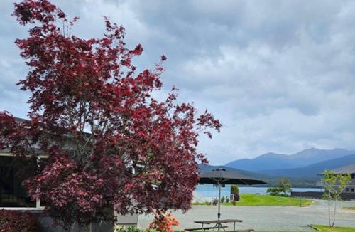 Te Anau Hotel | Lakeside Motel & Apartments