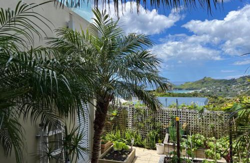 Hahei Apartment | Hahei Sunrise