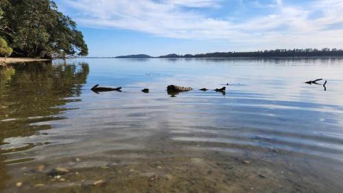 Katikati House | Kauri Point Self Contained Unit