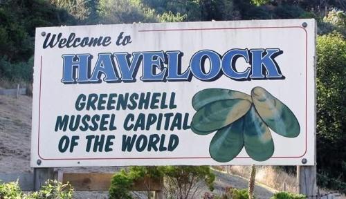 Havelock Apartment | Havelock Haven