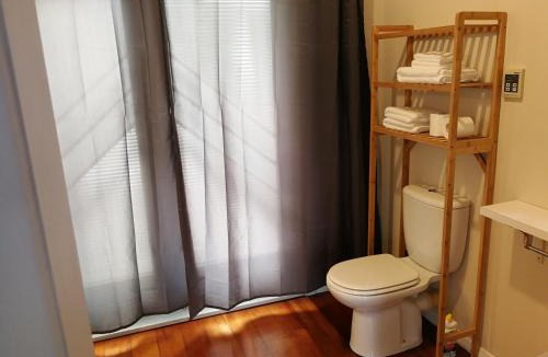 Palmerston North Apartment | Central Spacious House With Backyard And Patio