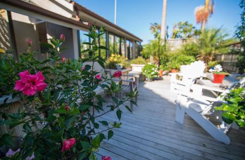 Orakei Bed & Breakfast | Terry and Cindy's Bed and Breakfast