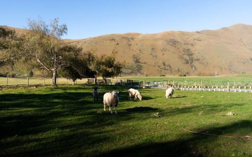 Mackenzie Country House | Airstrip Stays by Tiny Away