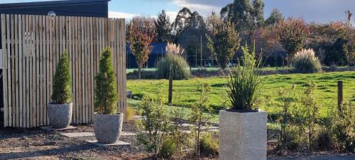 Waikato District House | The Little Willow