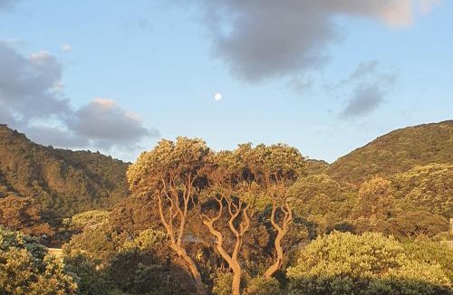 Piha House | Piha Sunset Bach