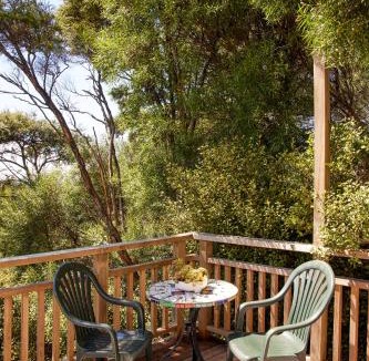 Tryphena House | Tree House