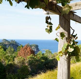 Hahei House | Above the Bay