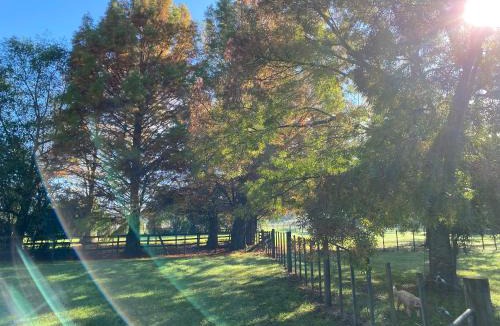 Kumeu Cabin | Willows Reach Lodge