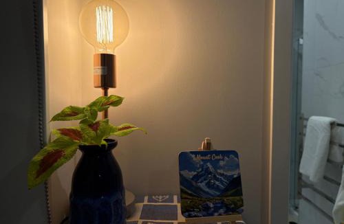 Silverdale House | Cosy & Independent access Bedroom in Hibiscus Coast