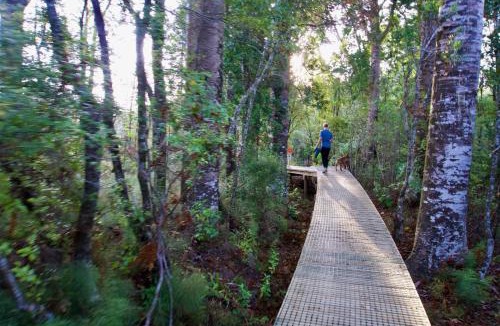 Katikati Resort | Sapphire Springs Holiday Park and Thermal Pools