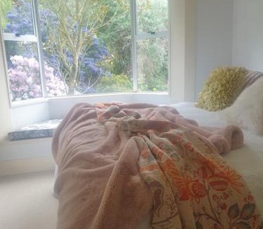 Otekaieke Bed & Breakfast | Windhaven Bed & Breakfast