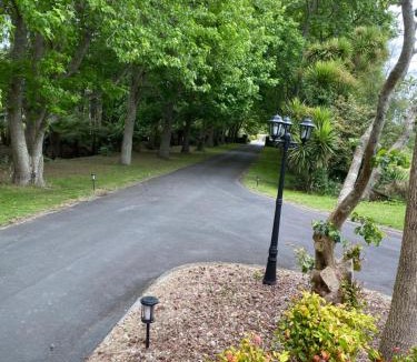 Kumeu Cabin | Willows Reach Lodge