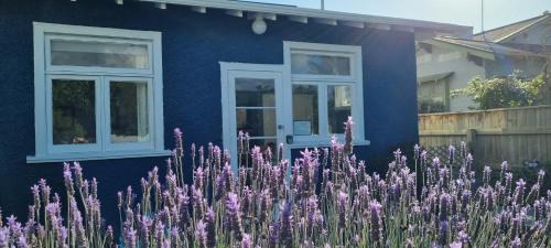 Whanganui Bed & Breakfast | The Bungalow
