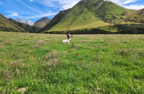Danseys Pass House | Danseys Pass Lavender Farm Domes