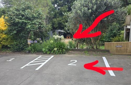 New Plymouth House | Wonderland