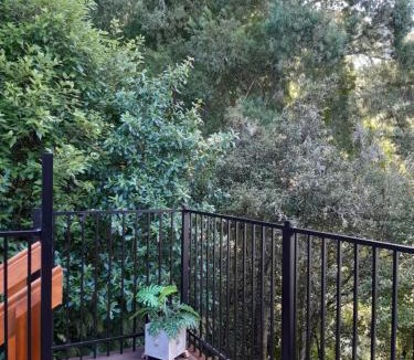 Titirangi Apartment | Tree Tops Get Away