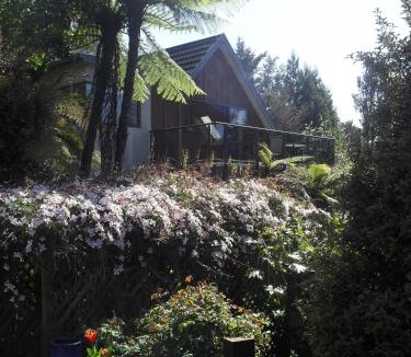 Lower Kaimai Bed & Breakfast | Cityescape