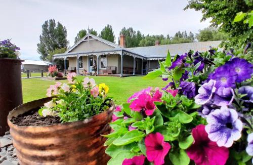 Waipiata Cabin | Peter's Farm Lodge