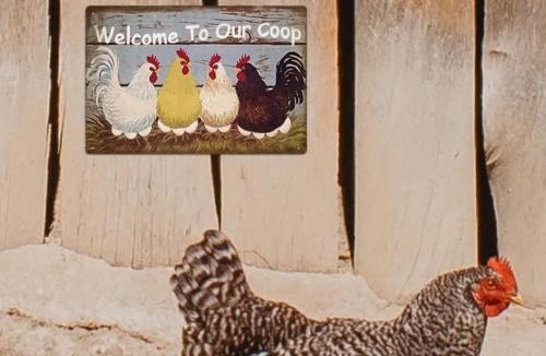 Kinloch House | The Coop