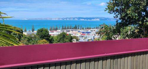 Bluff Hill Bed & Breakfast | MnM's BnB