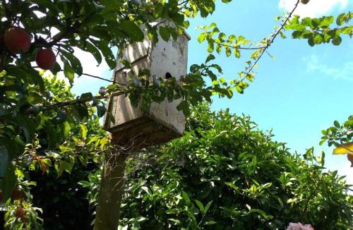 Waitara House | Manukorihi Secret Cottage