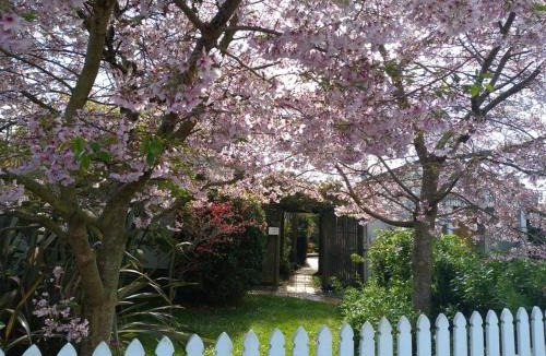 Waitara House | Manukorihi Secret Cottage
