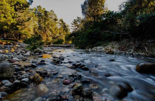 Katikati Resort | Sapphire Springs Holiday Park and Thermal Pools