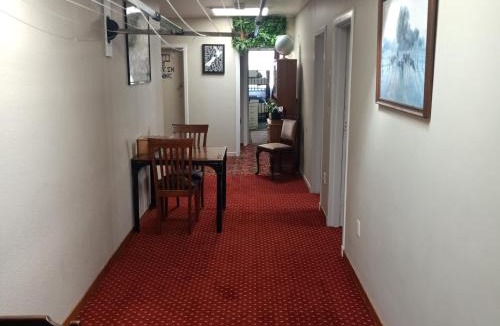 New Plymouth CBD Hostel | Ariki Backpackers