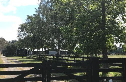 Longlands Bed & Breakfast | Arcadia